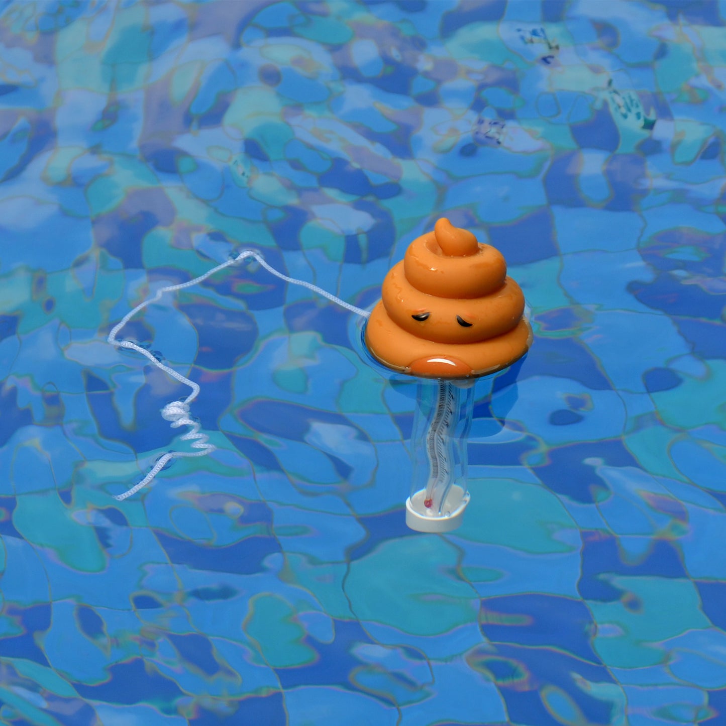 Poo Pool Thermometer