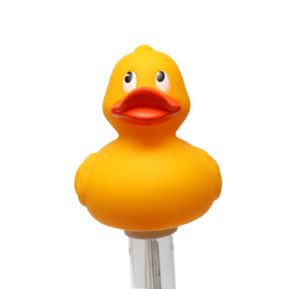 Duck Pool Thermometer