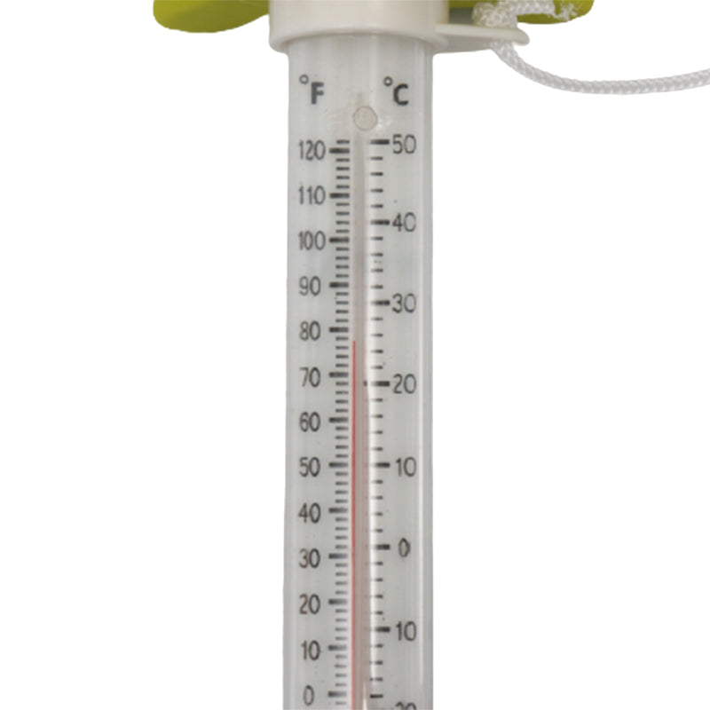 Turtles Pool Thermometer