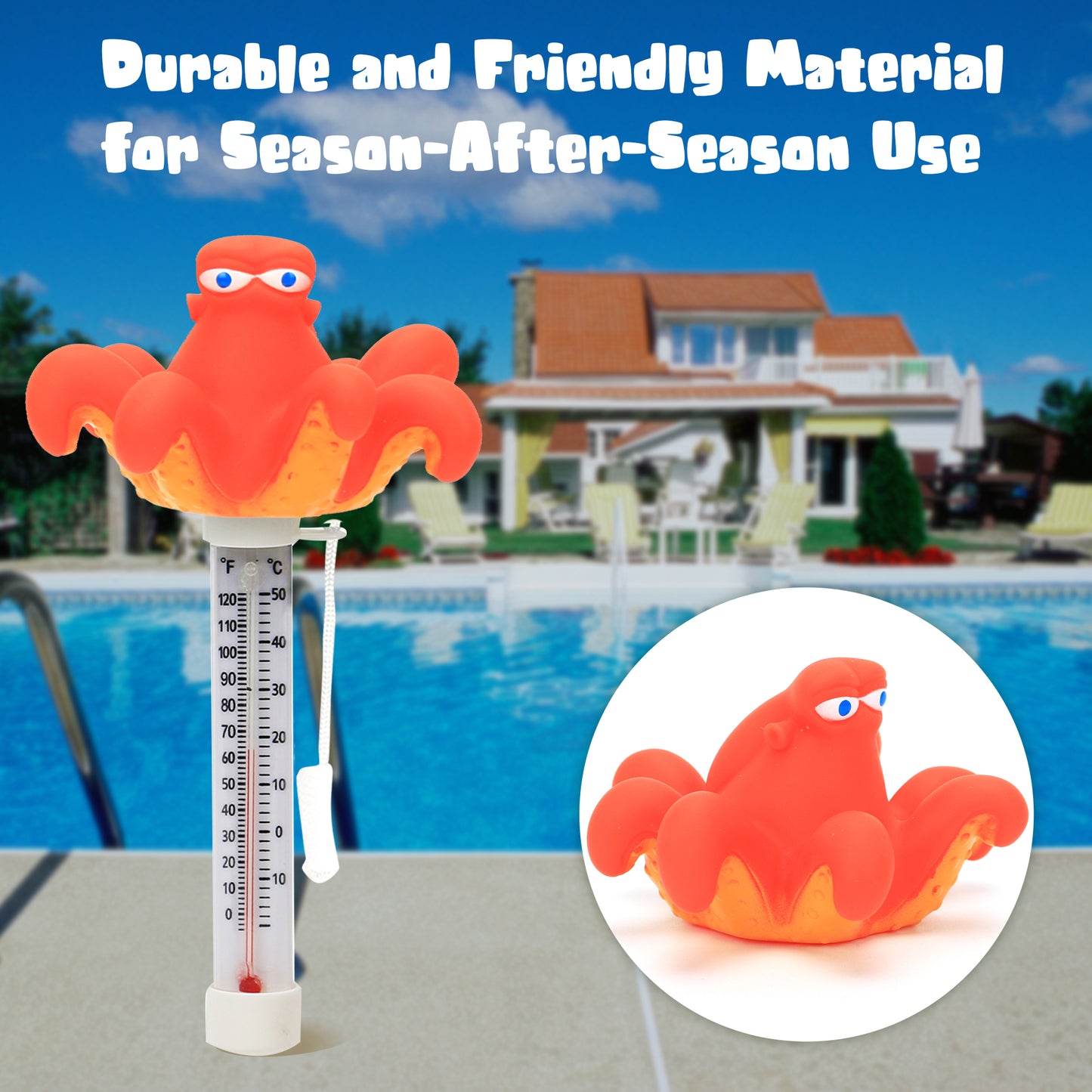 Octopus Pool Thermometer