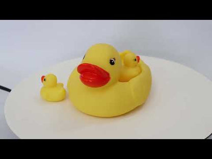 Rubber Ducks BTD-041