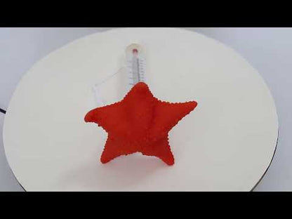 Starfish Pool Thermometer